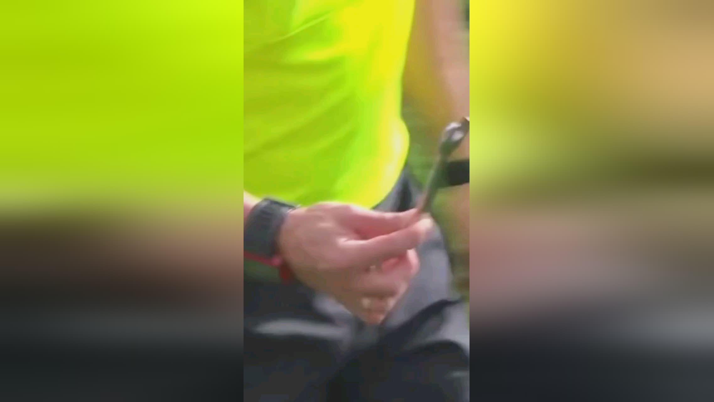 还包括整